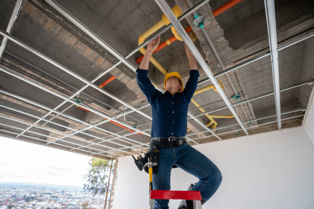 Best Affordable Plumbing Services  in Centralia, MO